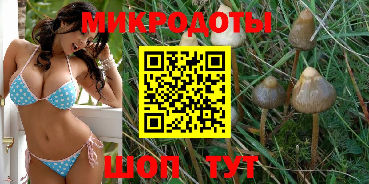 Галлюциногенные грибы ЛСД Кирово-Чепецк