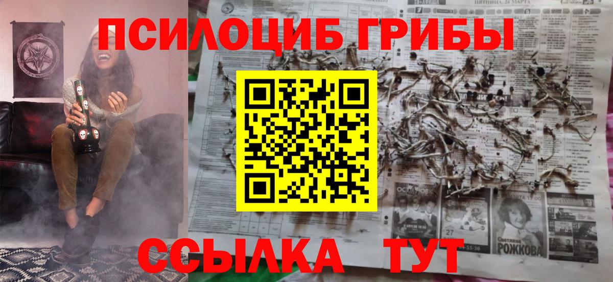 Кирово-Чепецк  Галлюциногенные грибы Cubensis  Вход с VPN 